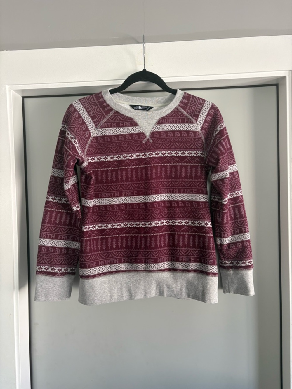 The north face sweatshirt